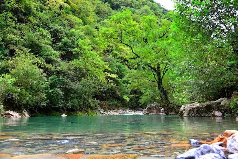 如果有一天累了就回老家到处走走,如果有一天累了就回来吧