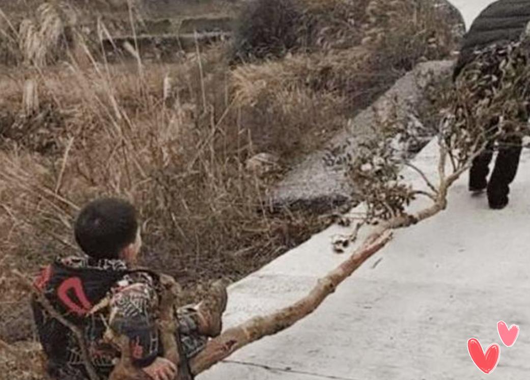 有种爷爷叫“别人家的”,树干、床垫做豪车,更有跑车“大黄蜂”