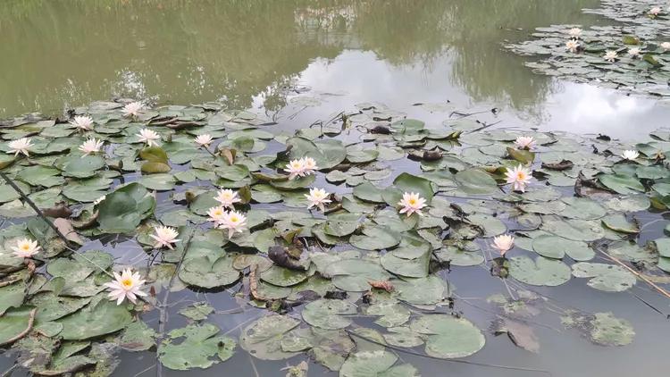 贵州蓬莱仙界旅游攻略,白云区蓬莱仙界景点介绍