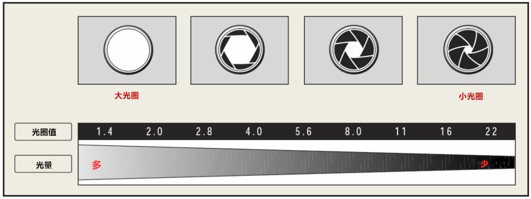 单反如何控制定焦镜头的光圈,单反摄影技巧入门篇调节光圈