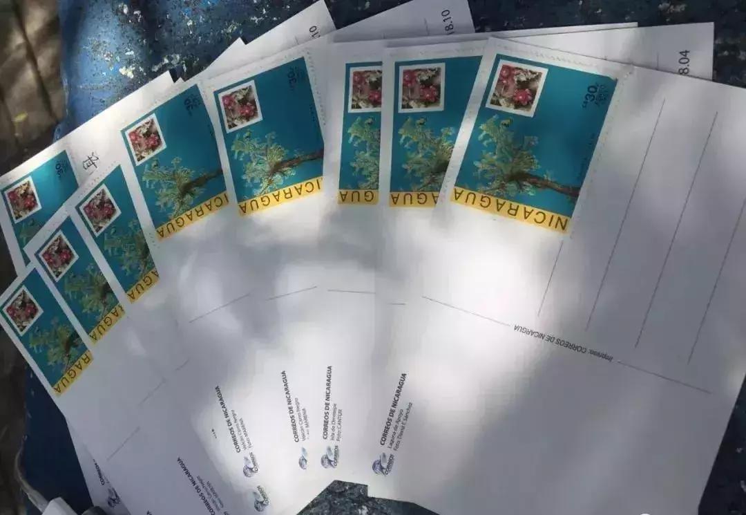 他7年骑行44个国家多次死里逃生,他7年环游中国18万公里绕赤道4圈