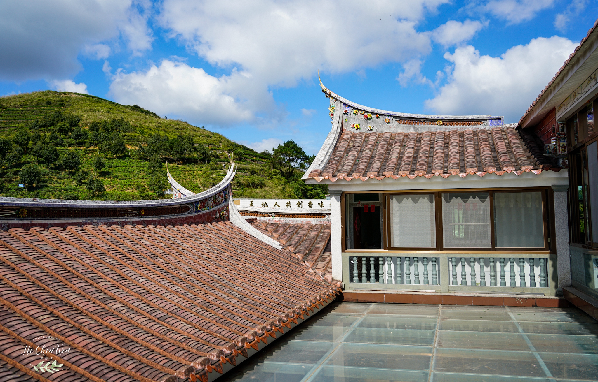 中国十大品牌铁观音茶叶,铁观音福建中国十大名茶