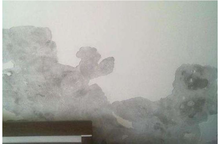 家里墙面要不要刷底漆,家里墙面没有刷底漆怎么补救