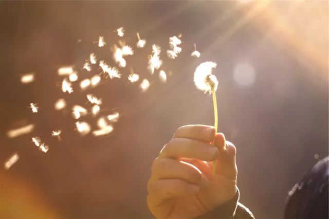 心经对人生有三大启示,心经的人生智慧