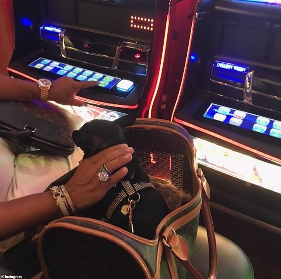 美国男子冒充沙特王子30年,美国男子假扮沙特王子行骗