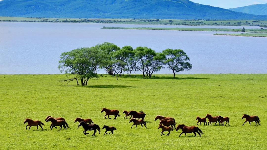 端午假期出游走哪儿这六条都别忘,端午节假期旅行