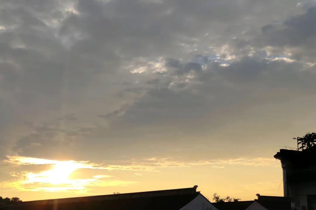 魅族16s用了几天的体验,魅族16s快速上手测评