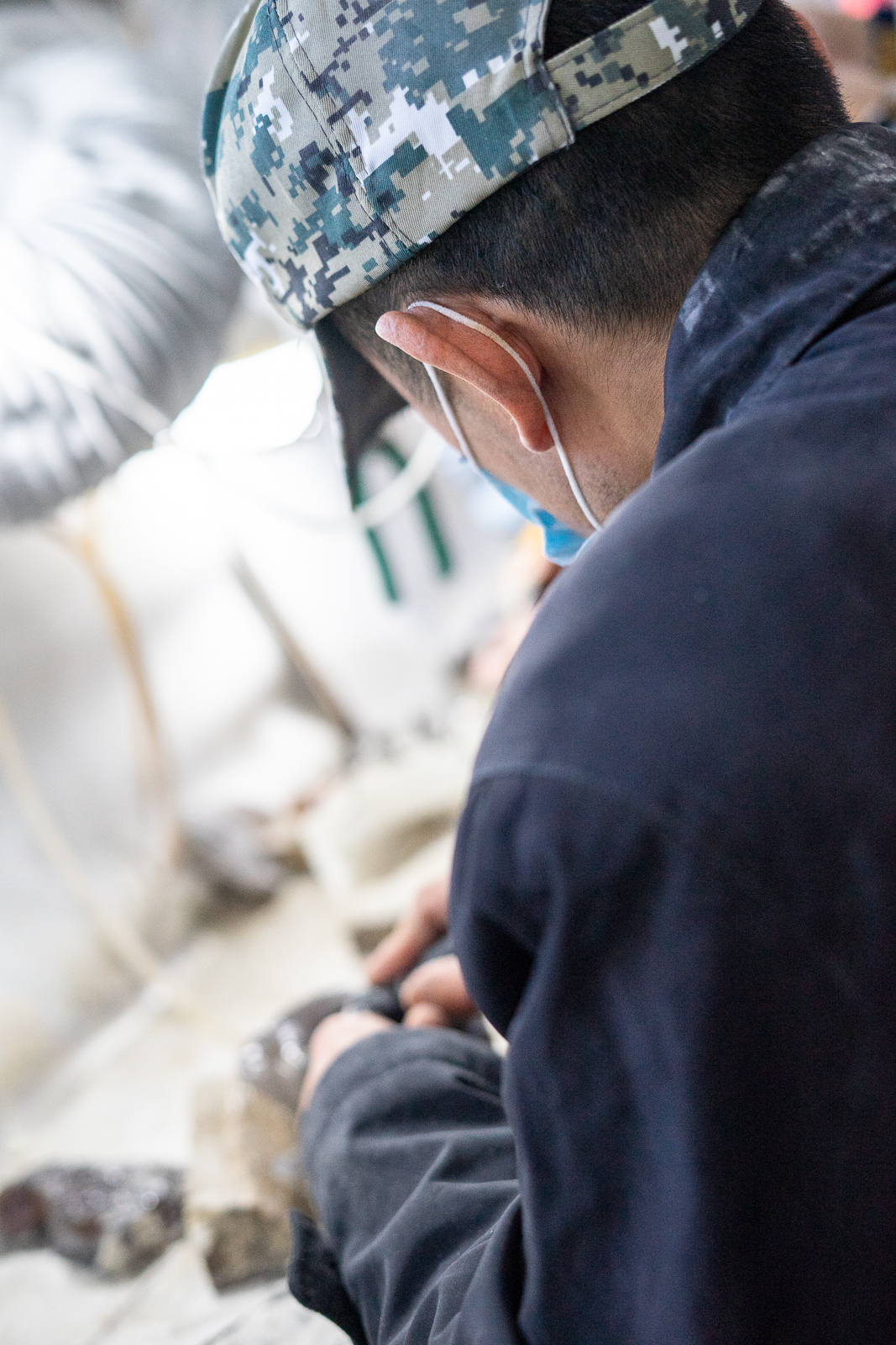 大自然的馈赠满山遍野的花,大自然的馈赠深山老林