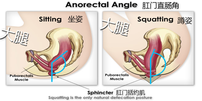 儿童便秘拉不出粑粑怎么办,孩子便秘拉不动