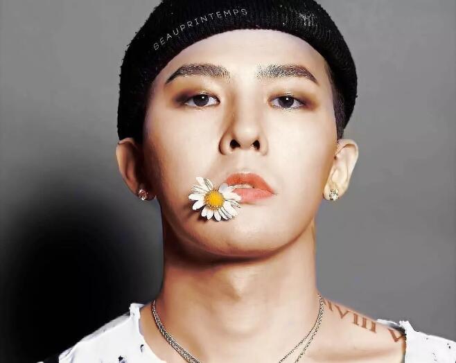 权志龙喜欢樱花和雏菊吗,权志龙最喜欢的所有东西