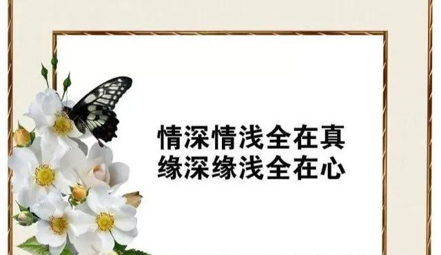 一个人心烦心累的句子说说心情,心烦心累的心情语录短句