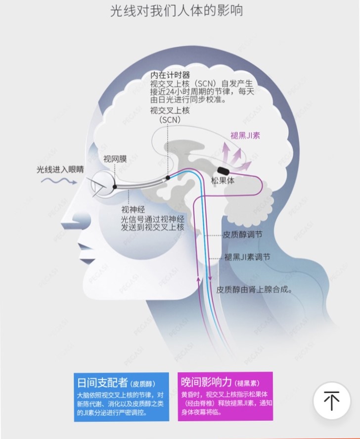 宝宝黑夜白天睡颠倒了怎么办,宝宝黑白颠倒晚上不睡觉怎么办