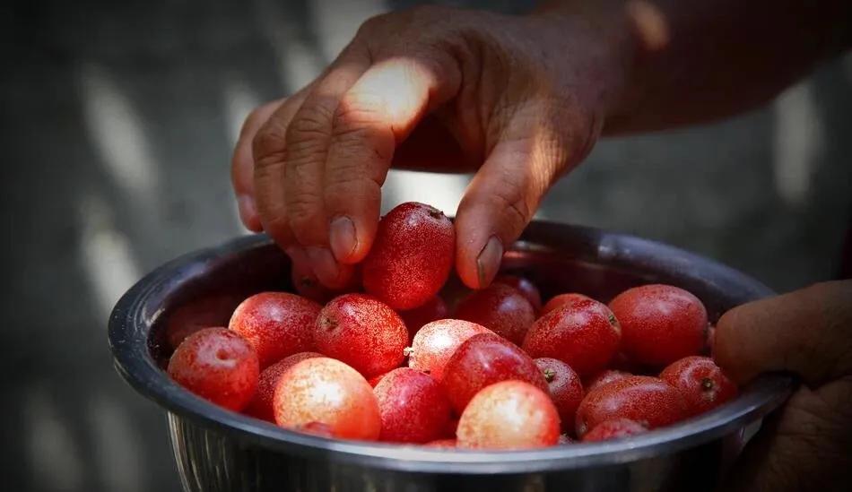 每个人心中都有一个西双版纳,西双版纳最吸引你的是什么