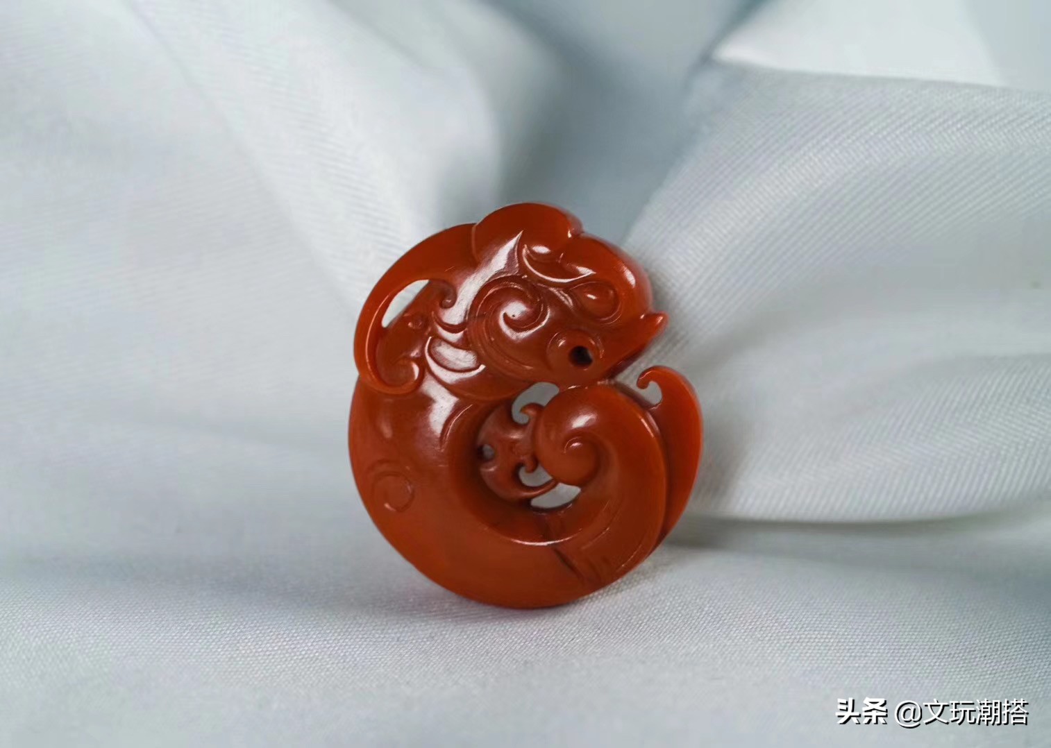 同样是猪同样好吃懒做,同样是猪为什么你这么好看