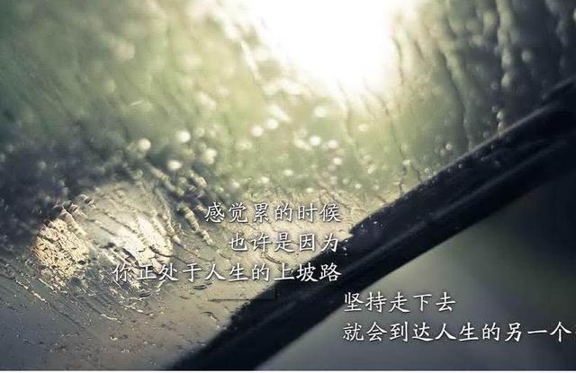 小清新励志名言集锦经典语录,励志带文字的小清新图片