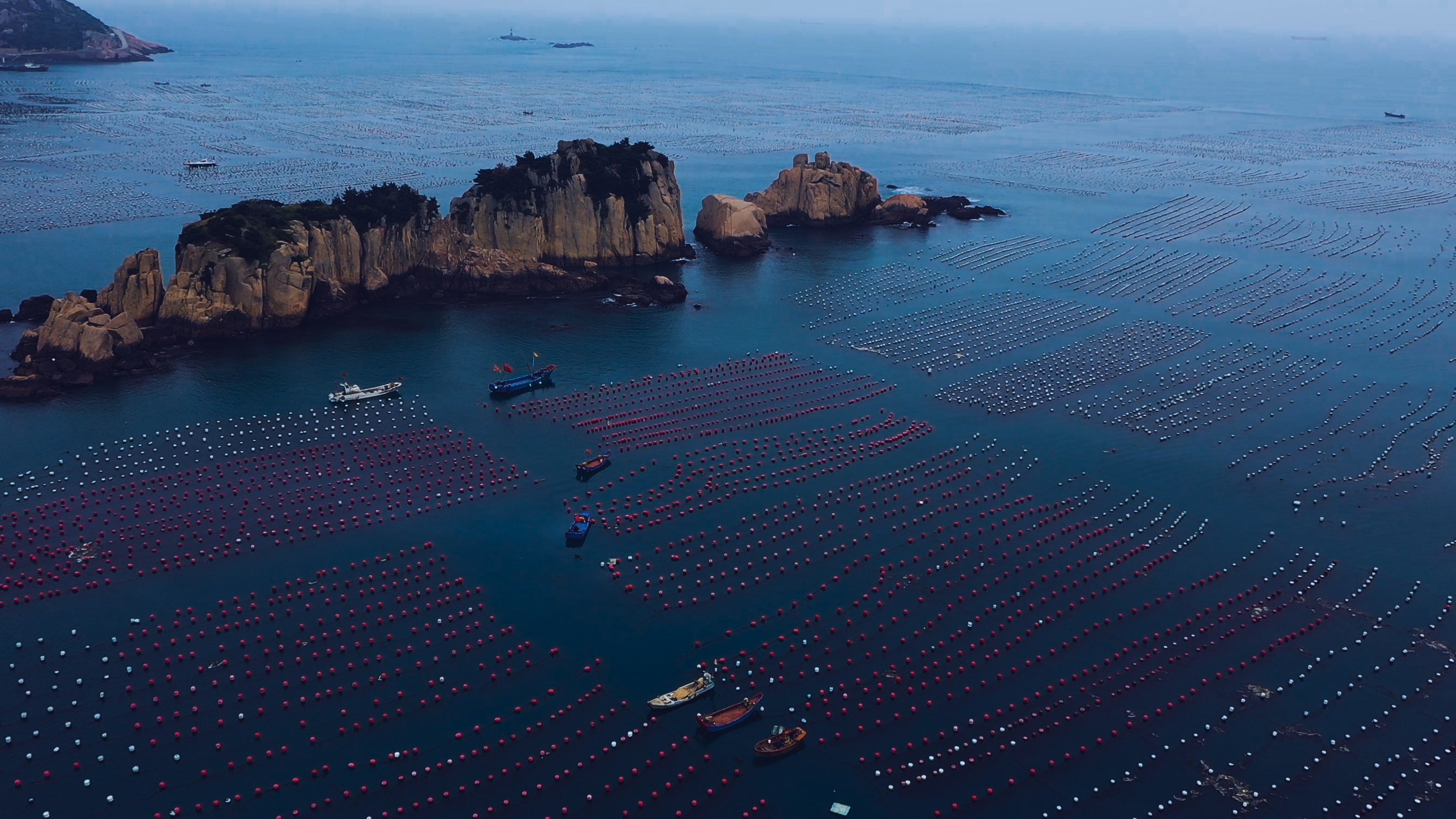 浙江嵊泗列岛三日游,嵊泗四日游旅游攻略