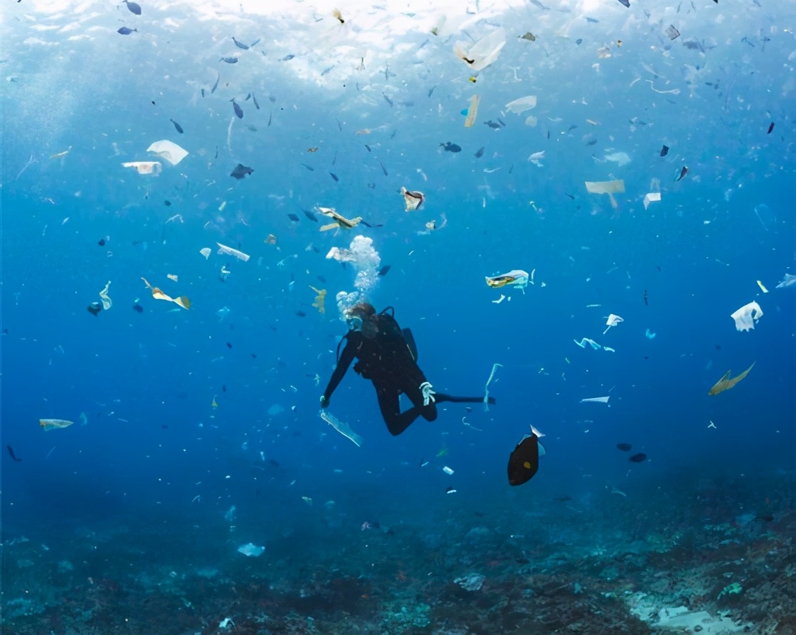 塑料是一项糟糕的发明吗,塑料为什么会被发明