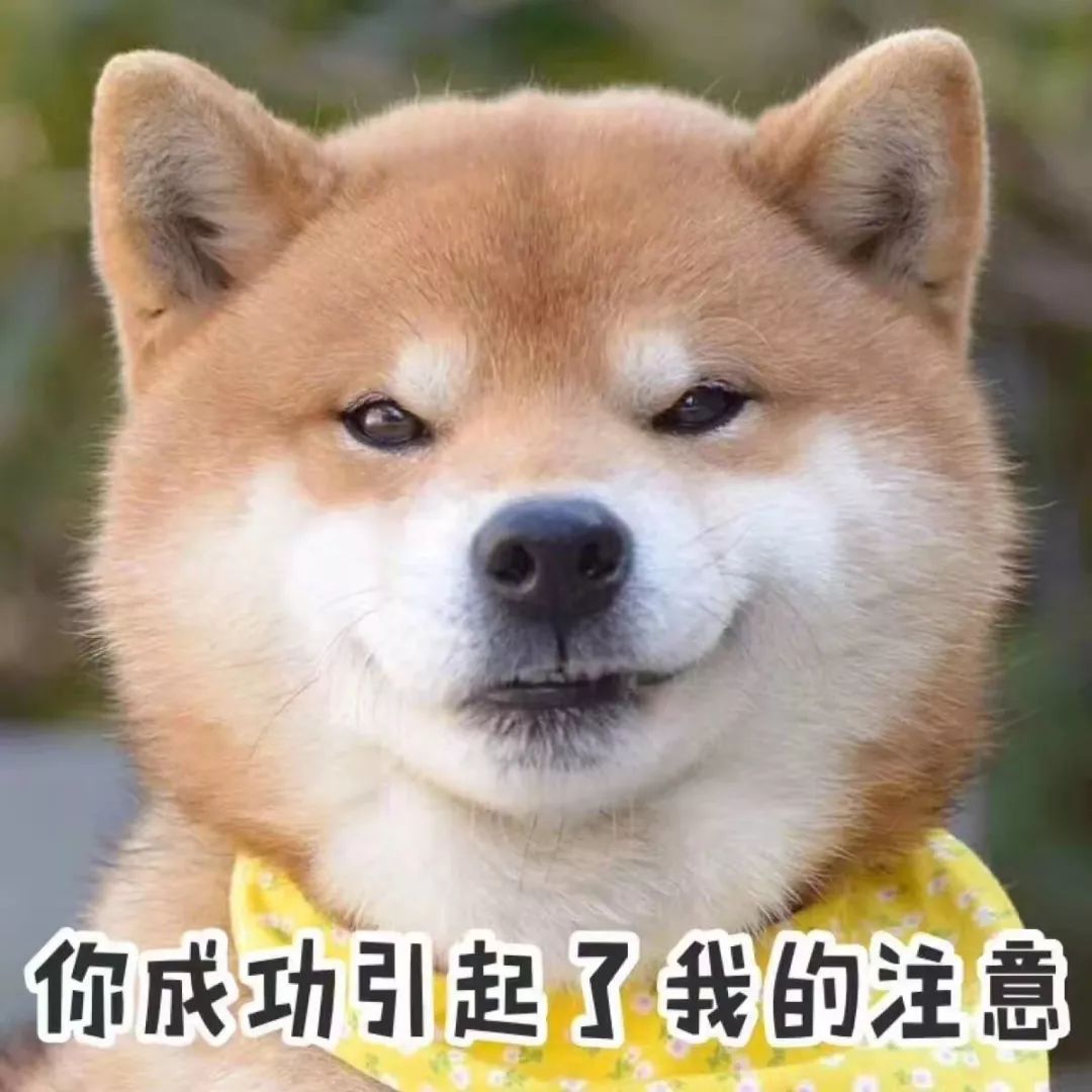 信阳平均工资标准是多少,2023年信阳市平均工资