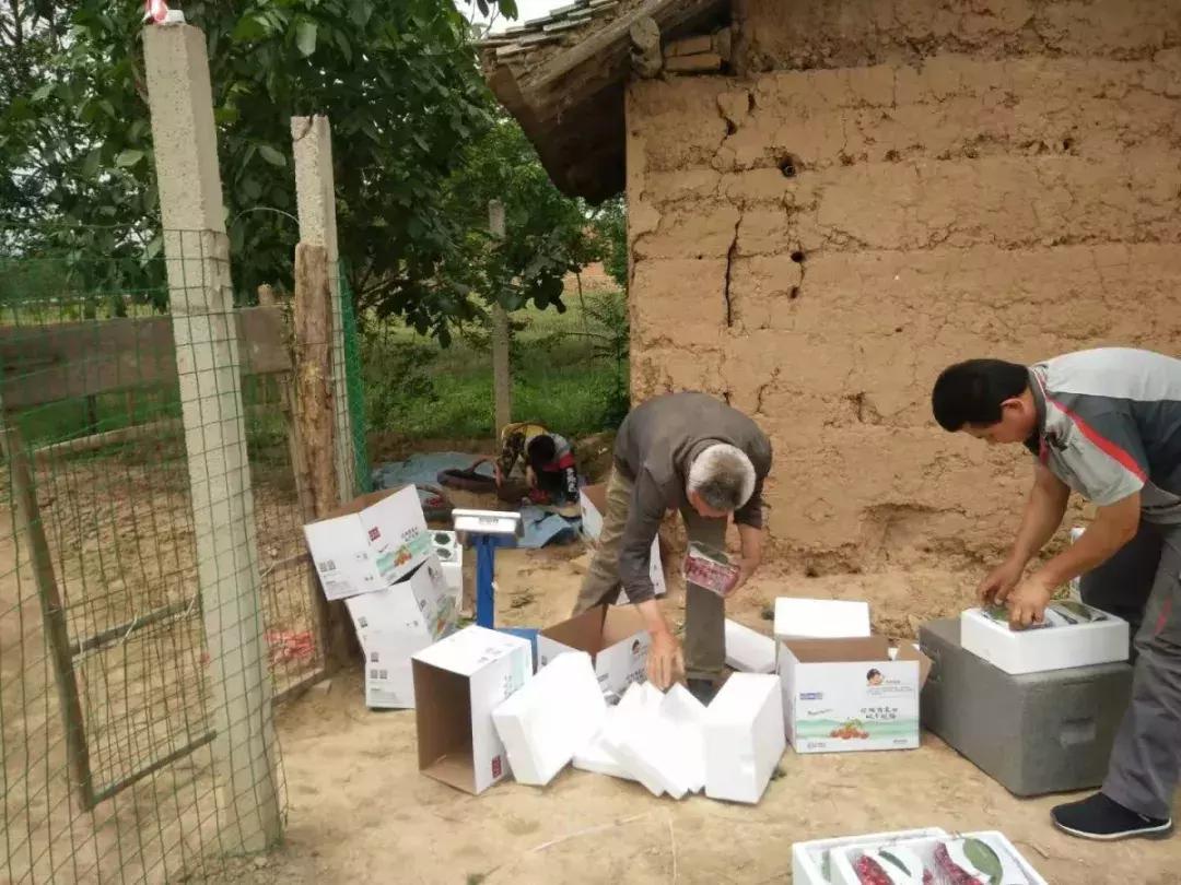 淳化郭丁村电商服务站合伙人，就是当之无愧的电商巾帼