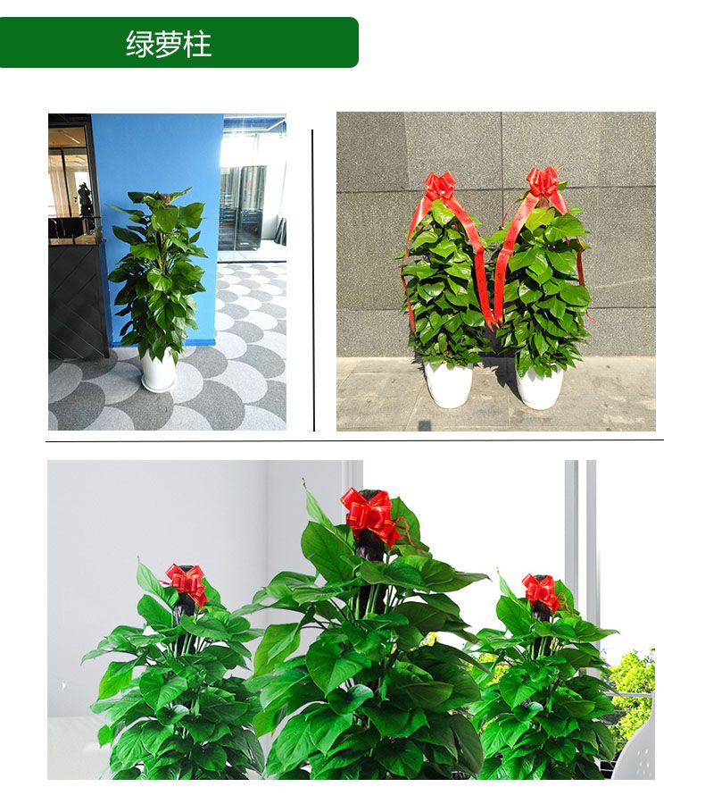 太原朋友店开业送什么礼物,青岛朋友开店都送什么