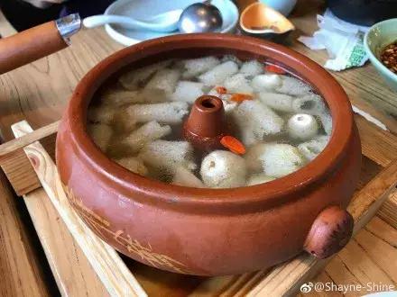 无毒野生菌图鉴大全,见手青野生菌可以吃的种类