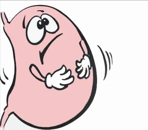 钙片是朗迪还是钙尔奇d好,钙尔奇跟朗迪哪个更好