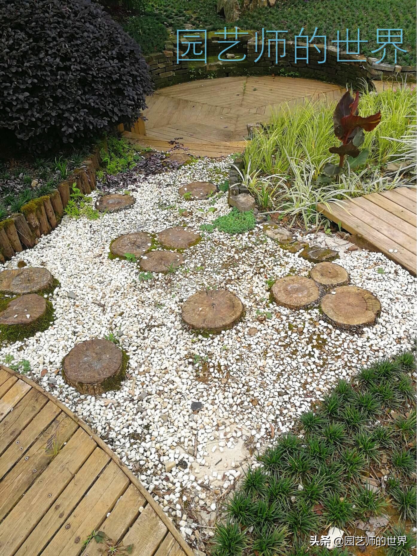 花园科学实验,花园案例及解析