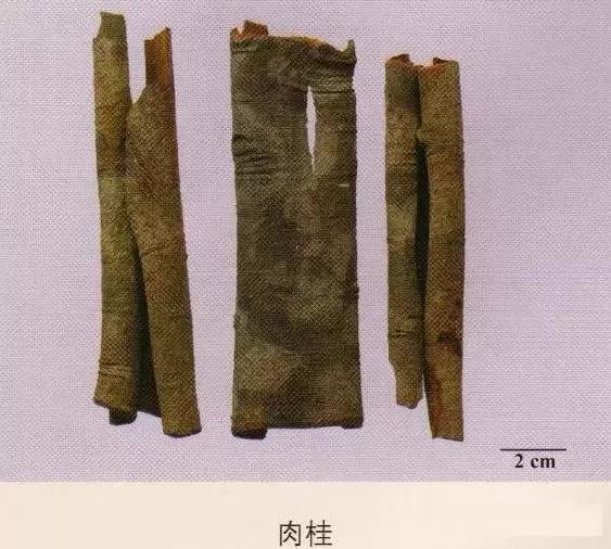 中药材图片大全大图带药名,200多味中药材图谱带图