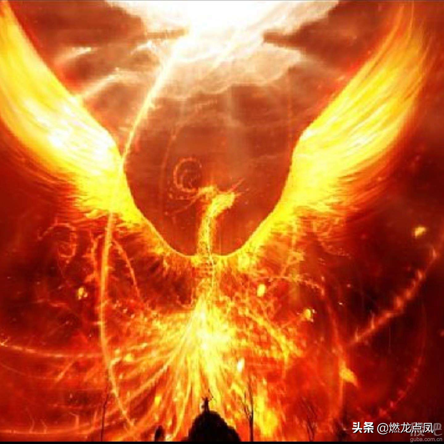 燃龙点凤吉祥物,燃龙点凤曹德旺现状