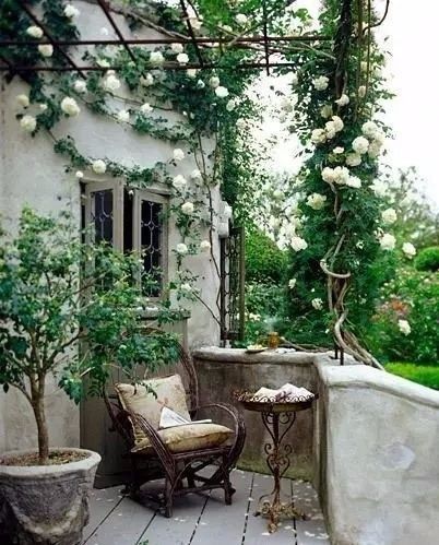 阳台变身小花园总有一款适合你,阳台可以打造成小花园吗