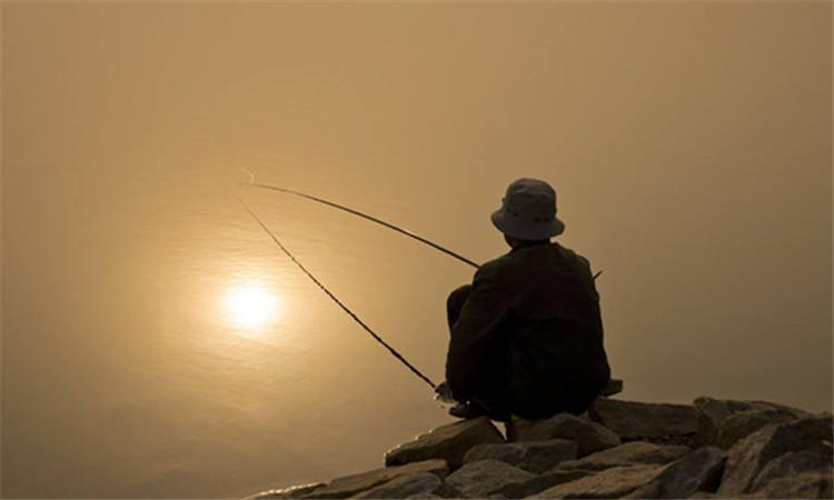 鱼护怎么防止老化,好一点的鱼护有必要吗