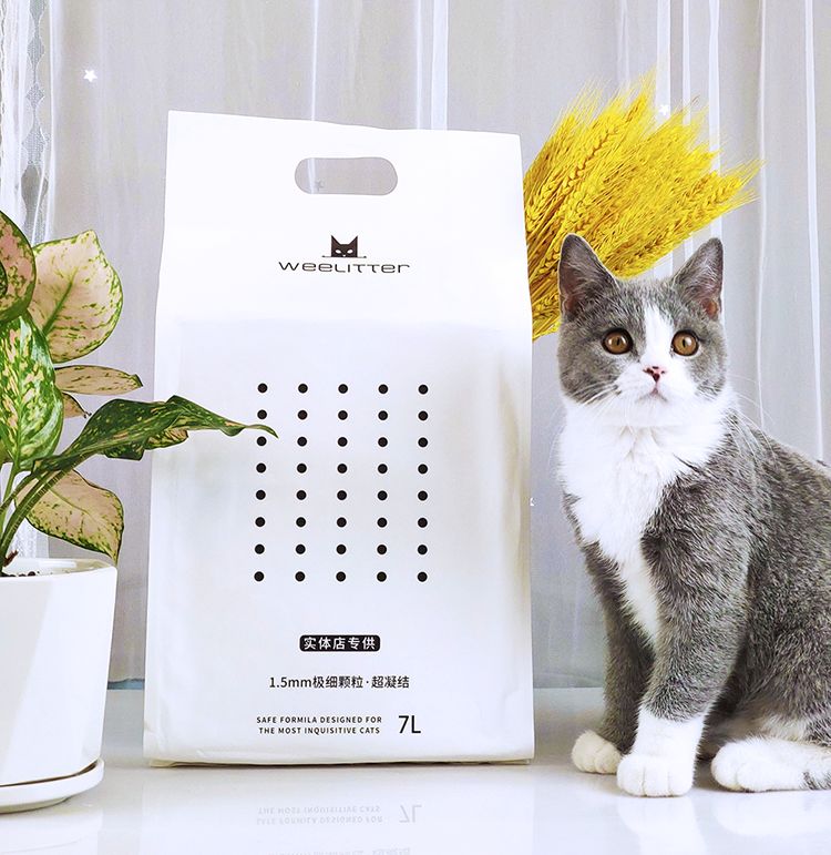 cips2019中国宠物展,cips宠物展直播