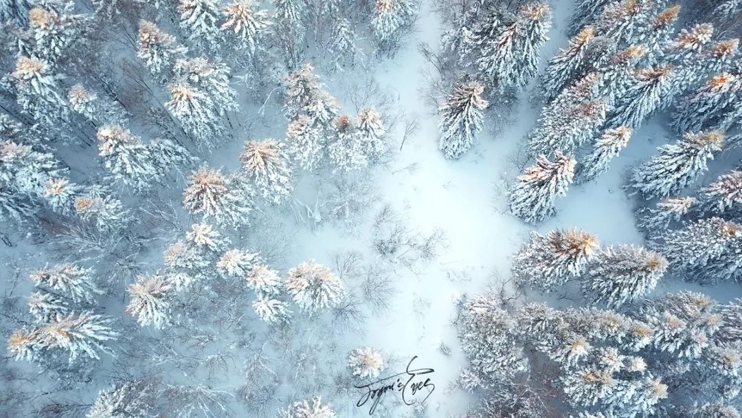 冰雪摄影心得,冰雪拍摄10个思路