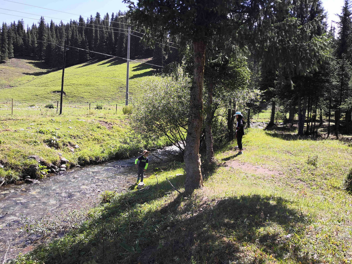 *疆新**蒙古包旅店老板,看他一天的收入多少,一个月就抵我一年工资