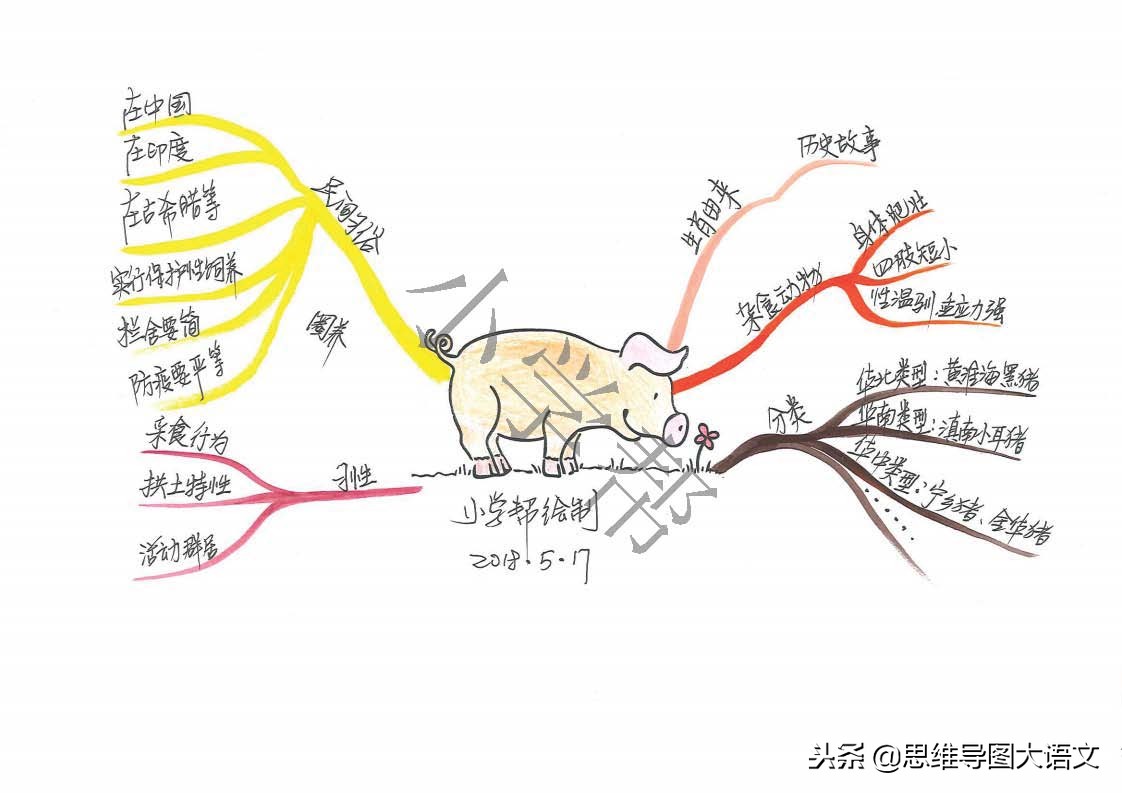 思维导图十二生肖文化知识,十二生肖思维导图并标上动物单词