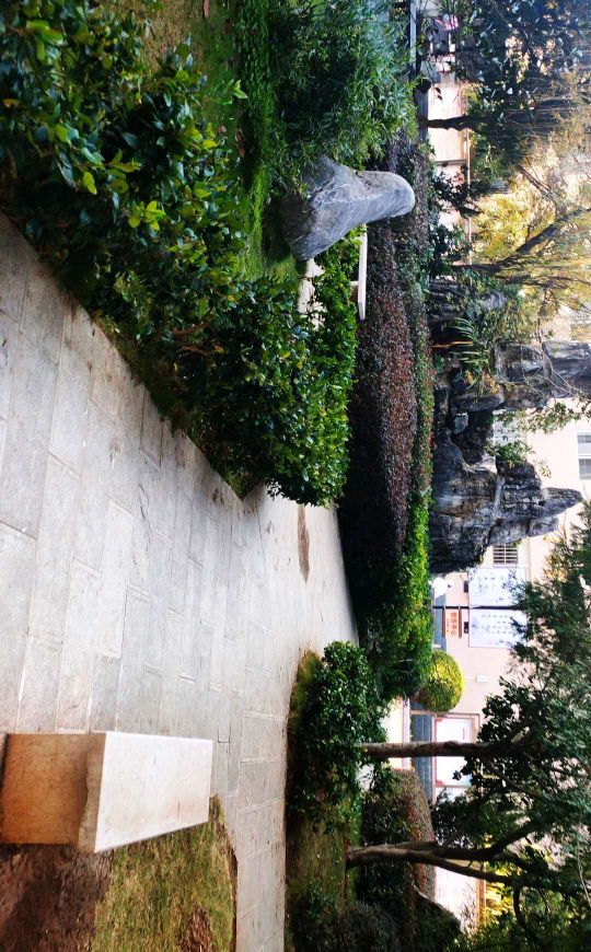 肛周脓肿12345678