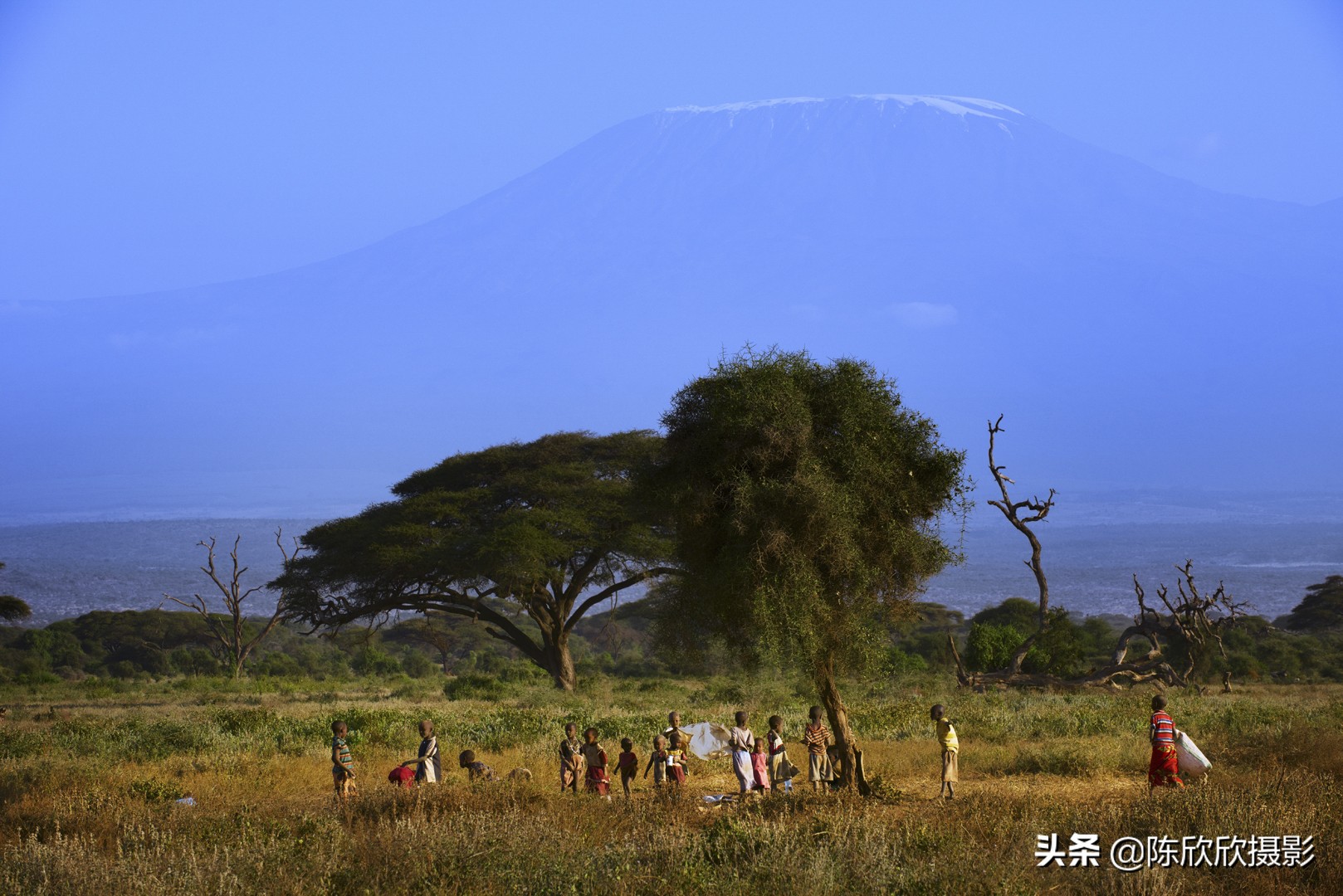 如果让你做一天上帝你会干什么,如果让你做一天菩萨你会怎么做