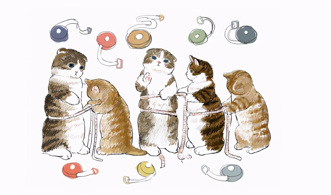 日本人与猫的情结,日本人喜欢什么猫