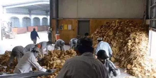 软中华一包68元成本到底是多少钱,软中华成本