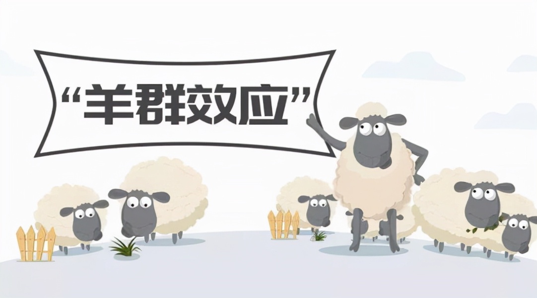 经济学十大原理蝴蝶效应,几个常见的经济学效应