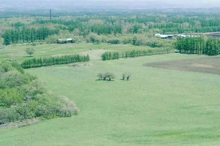 天上没掉馅饼的骗局,天上没掉馅饼骗局