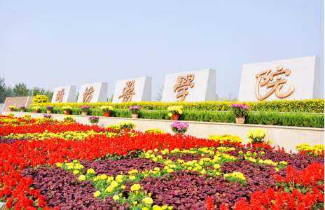 潍坊医学院2019级有多少个专业,潍坊医学院专业报考要求