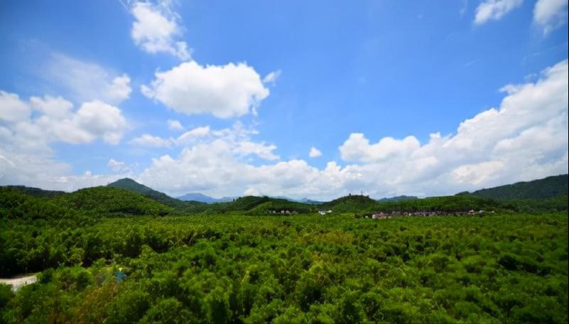广西宾阳县武陵镇好玩的景点,广西宾阳县旅游景点