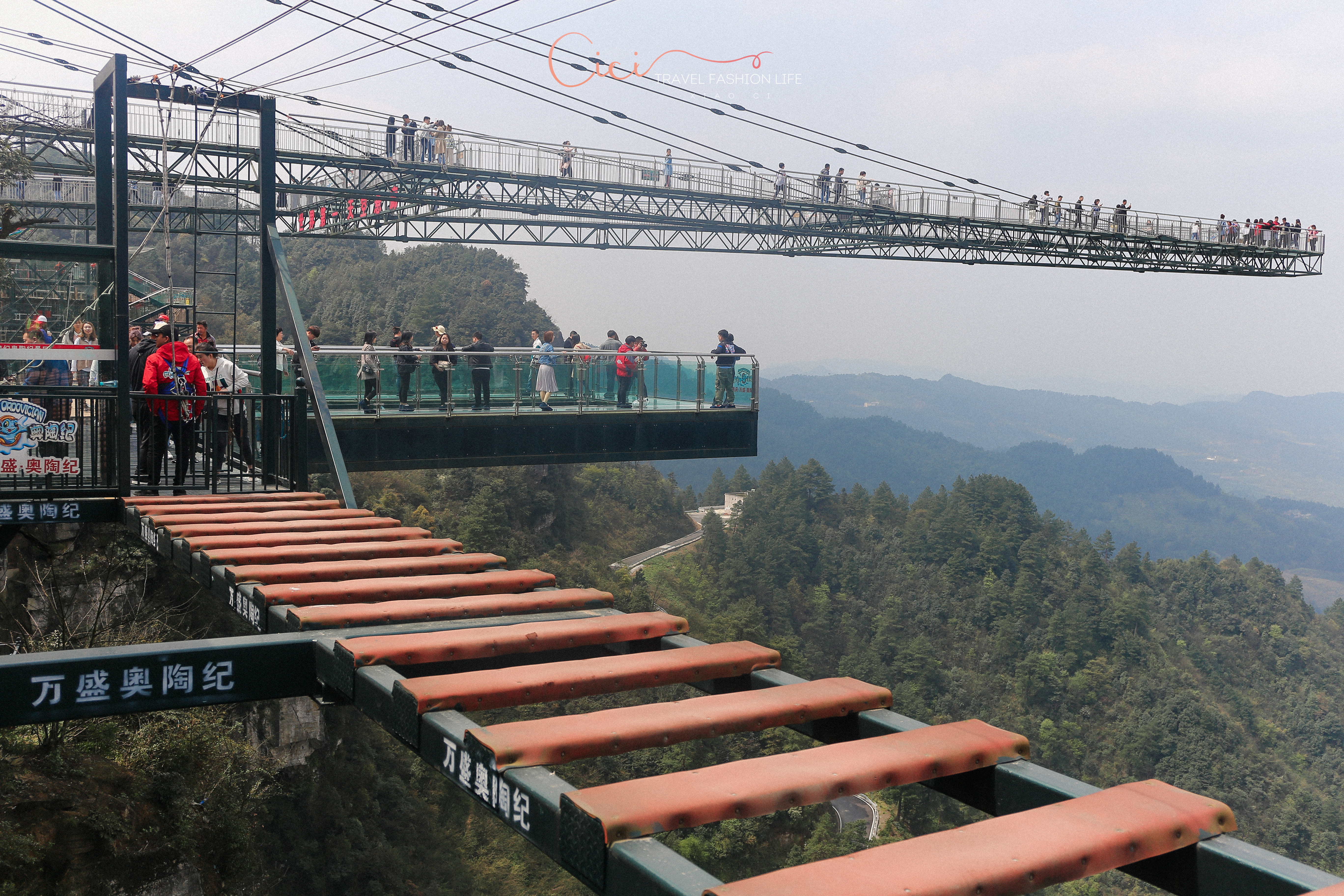 不可思议的奥陶纪