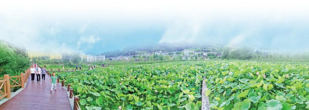 把诗和远方留在家里,把诗和远方藏在心里