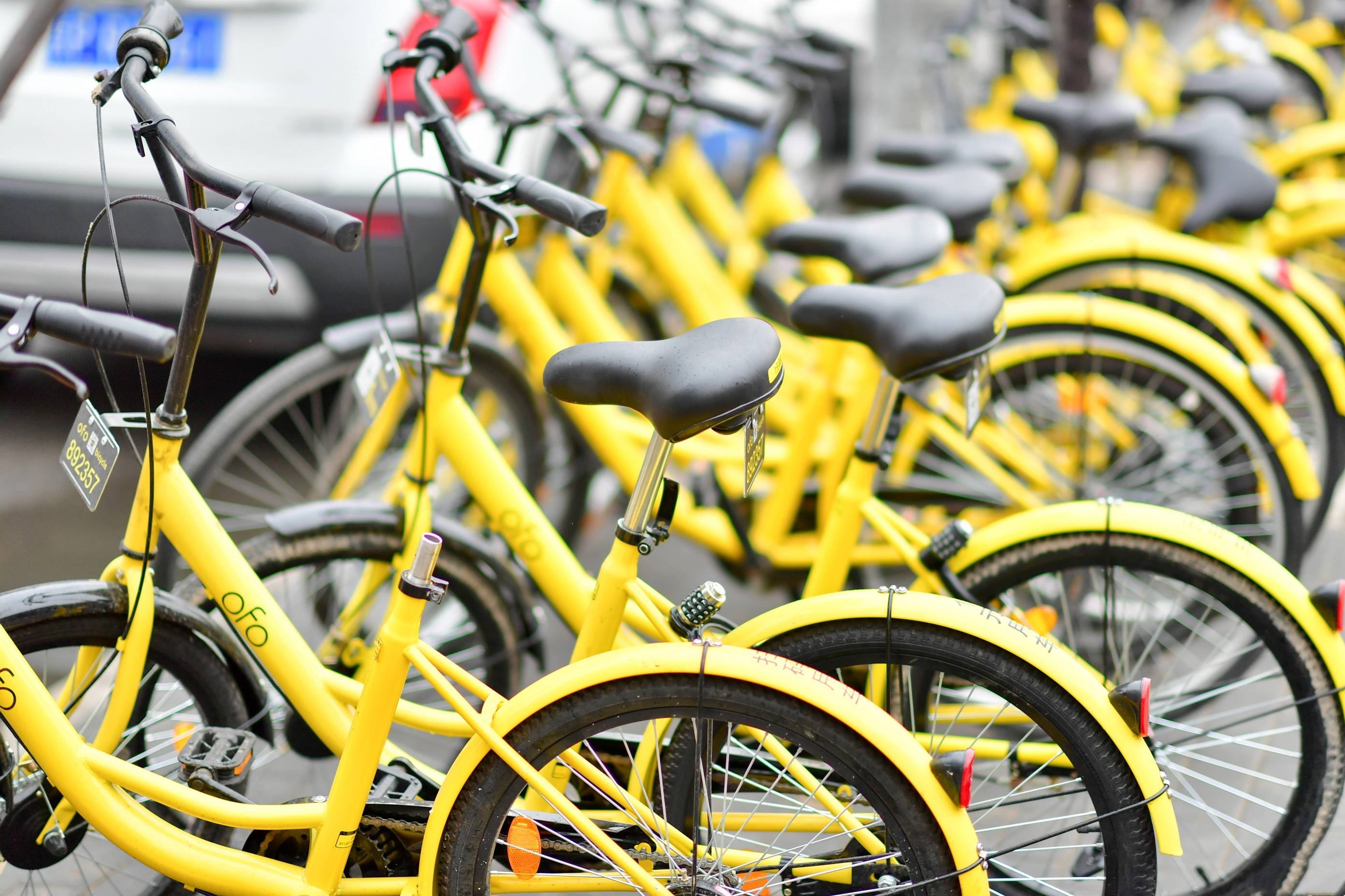 租赁业很赚钱,租赁行业收入