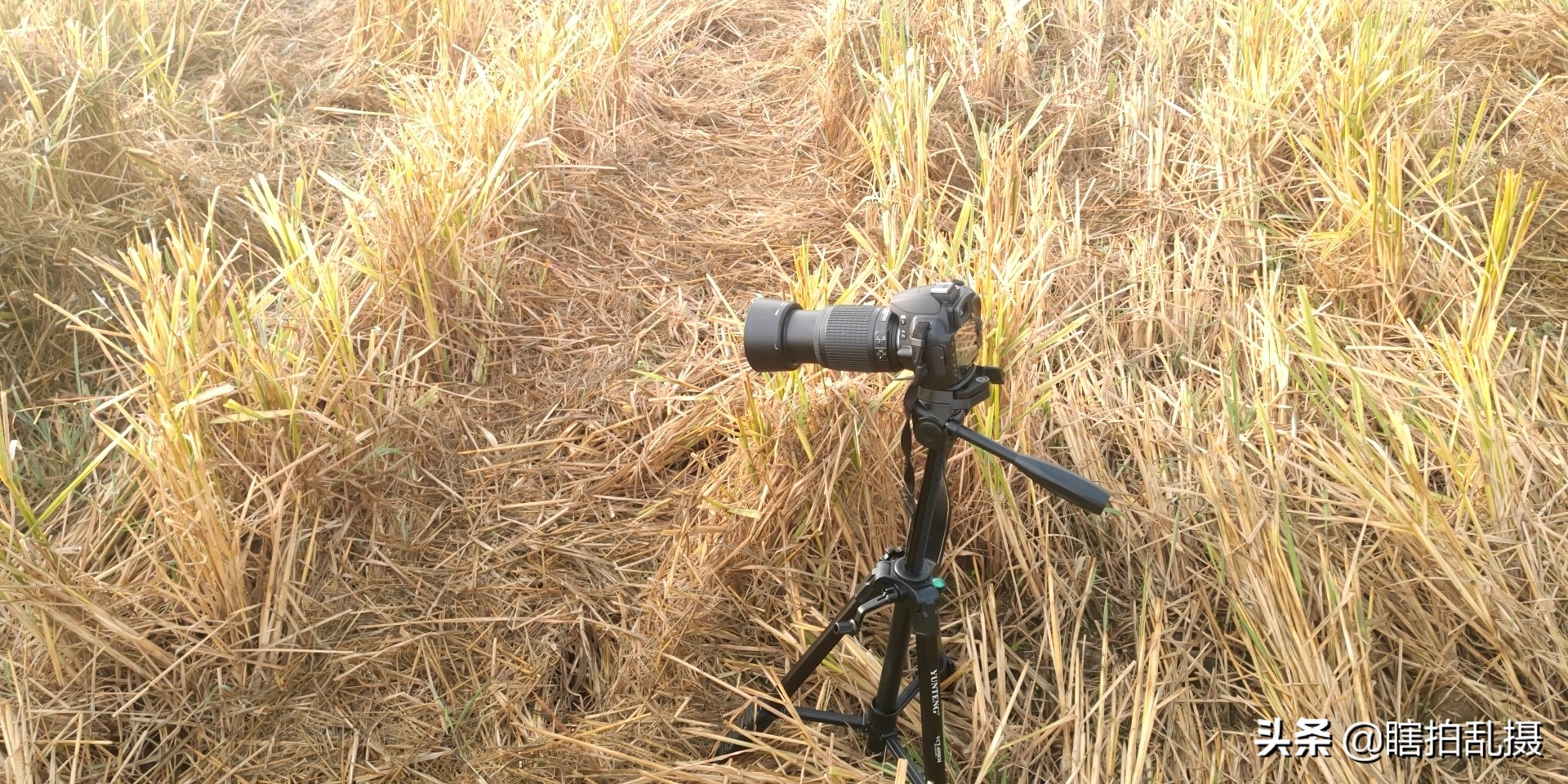 我的摄影器材大集合,最新入门单反相机推荐