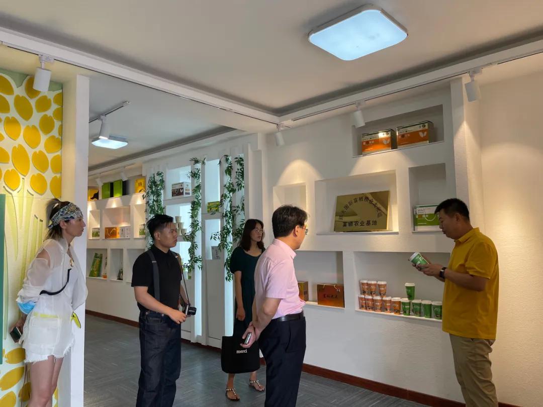 一个小城的夏天,夏天的城市处处都很治愈