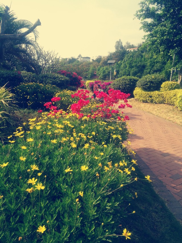 春天的味道,春天的味道歌曲