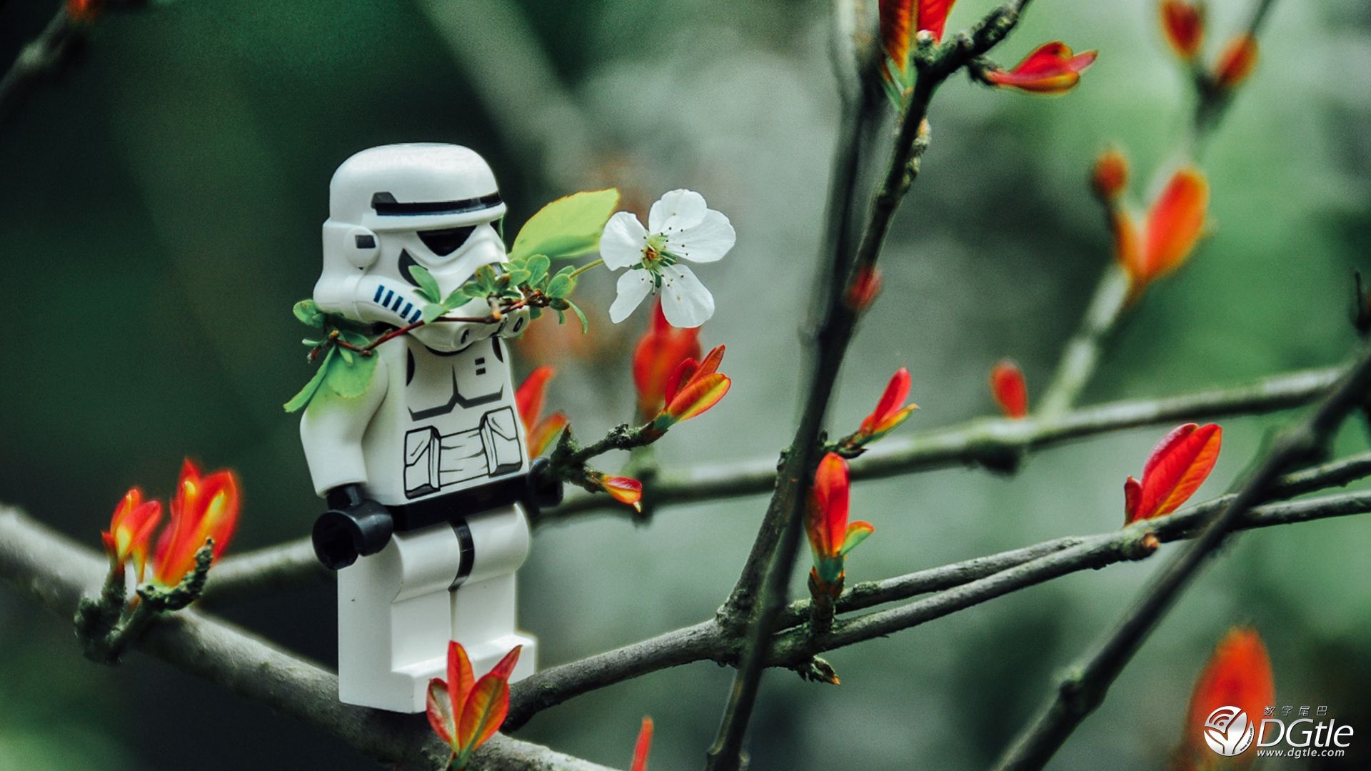 英国人爱争辩!瑞士人很高傲?意大利人爱享受?奥地利人工作狂